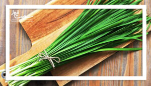 تره، قند بالایی ندارد و برای دیابتی‌ها مضر نیست؛ پاسخ به باورهای نادرست تغذیه‌ای