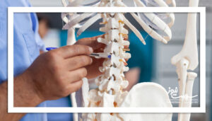 پوکی استخوان؛ بیماری خاموش با پیامدهای خطرناک برای سالمندان