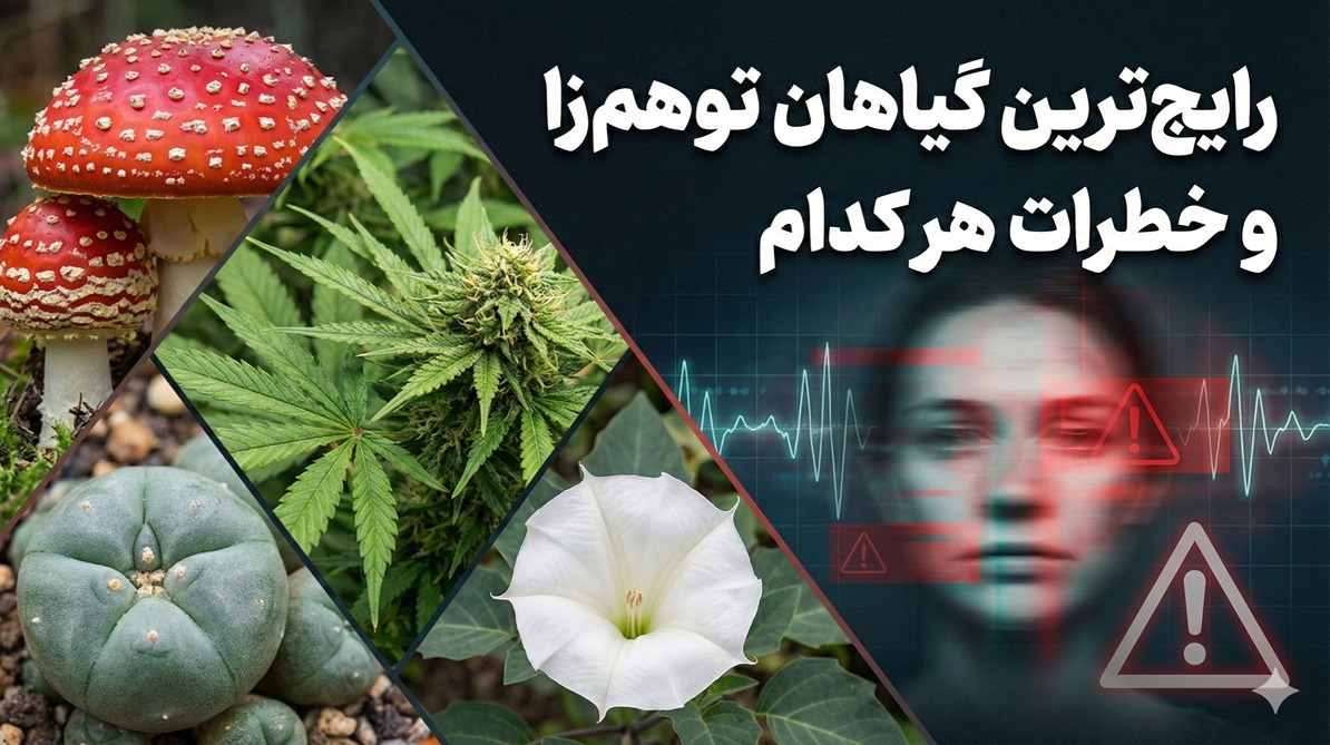 رایج ترین گیاهان توهم زا به همراه خطرات